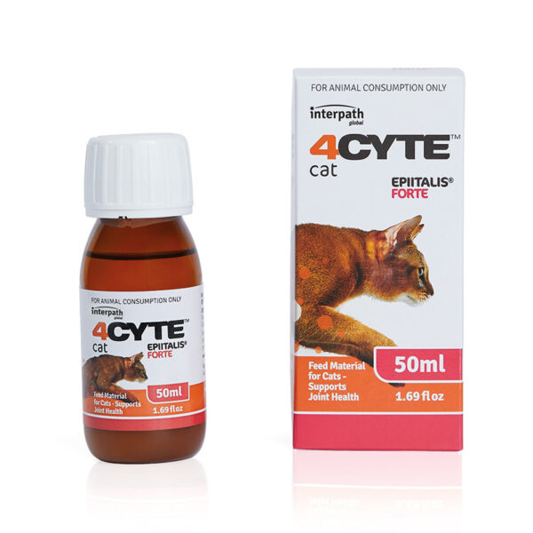 Cat 50ml Gel 800x800 1