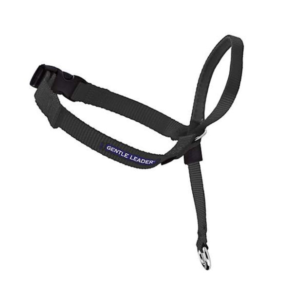 Gentle Leader Black Headcollar - Small