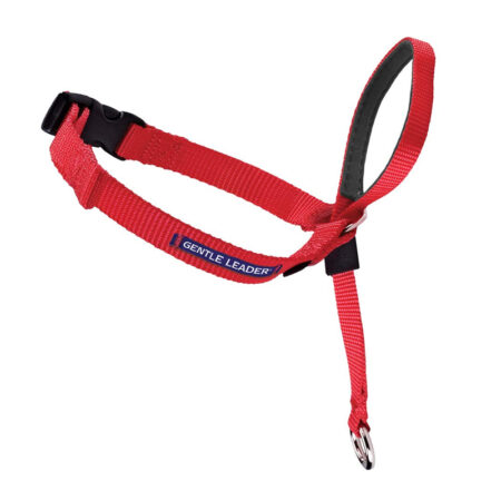 Gentle Leader Red Headcollar - Medium