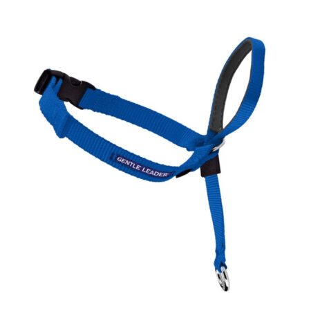 Gentle Leader Blue Headcollar - Large