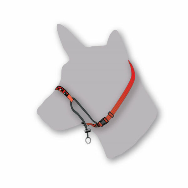 Black Dog Black Classic Training Halter - Small