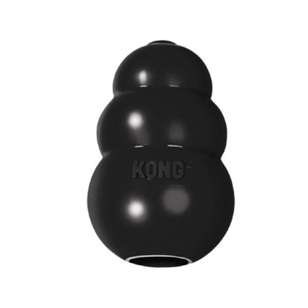 KONG T B1