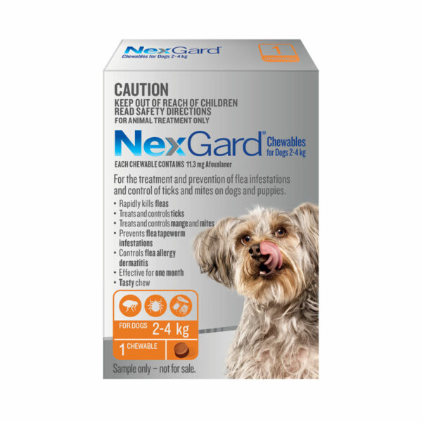 NexGard Orange Chew for Small Dogs (2-4kg) - Single