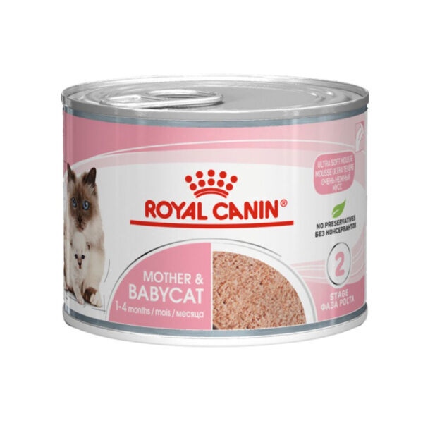 Royal Canin Mother and Babycat Mousse Wet Cat Food 24 x 100g Cans